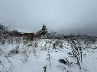 Жилой дом 75,9 кв.м, кадастровый № 53:02:0010301:153, адрес: Российская Федерация, Новгородская область, муниципальный район Боровичский, сельское поселение Волокское, деревня Елигово, дом 67, площадь: 75,9 кв.м. Земельный участок кадастровый № 53:02:0010301:72, адрес: Новгородская область, р-н…
