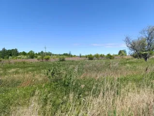 Земельный участок 30 600 кв. м, Калининградская обл., Гурьевский р-н, местоположение установлено относительно ориентира, расположенного в границах участка, почтовый адрес ориентира: Калининградская обл., Гурьевский р-н, юго-западнее пос. Ласкино, кадастровый номер 39:03:080904:9, земли…