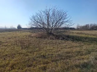 Земельный участок в Краснодарском крае, 1700 кв.м. Земельный участок, площадь: 1 700кв.м., адрес (местонахождение): Российская Федерация, Краснодарский край, Тимашевский район, ст.Роговская, ул.Выгонная, 28 М, категория земель: Земли населенных пунктов, разрешенное использование: Для ведения…
