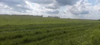 Право долгосрочной аренды земельного участка общей площадью 1 100 485 кв.м, кадастровый номер 02:47:000000:1823, адрес: Местоположение установлено относительно ориентира, расположенного в границах участка. Почтовый адрес ориентира: Республика Башкортостан, р-н. Уфимский, с/с. Николаевский, д…