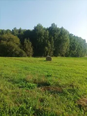 Земельный участок 7000 кв.м Респ Марий Эл, площадь 7000 кв.м, категория земель: земли населенных пунктов, разрешенное использование: для ведения личного подсобного хозяйства, адрес: Россия, Респ Марий Эл, р-н Новоторъяльский, д Ноли Кукмарь, ул Ноли Кукмарь, дом 25, кадастровый номер…