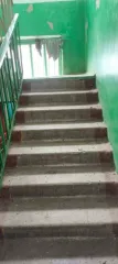 1/4 + 1/4 доли квартиры (52 кв.м) и 1/4 доли помещения, Омская область, назначение: жилое, кадастровый (условный) номер: 55:26:240101:1263, адрес: Омская область, Таврический р-н, с. Прииртышье, ул. Ленина, д. 21, кв. 13