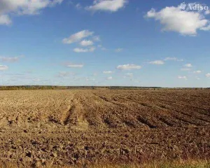 1/24 доля в праве собственности на земельный участок, категория земель: сельскохозяйственного назначения, Оренбургская обл.