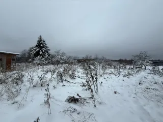 Жилой дом 75,9 кв.м, кадастровый № 53:02:0010301:153, адрес: Российская Федерация, Новгородская область, муниципальный район Боровичский, сельское поселение Волокское, деревня Елигово, дом 67, площадь: 75,9 кв.м. Земельный участок кадастровый № 53:02:0010301:72, адрес: Новгородская область, р-н…