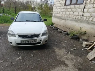 VAZ 217030, 2010. Автомобиль марки ВАЗ, модель 217030, 2010 г.в., VIN-номер XTA217030B0273231. Ознакомление с имеющимися документами проходит по адресу: РТ, г. Набережные Челны, пр. Мира, 24Ж офис 303 по предварительной записи у организатора торгов по тел. +79872384140 в будние дни, с 10 ч. 00 мин…