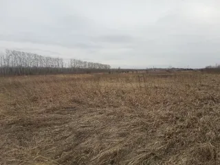 Земельный участок кадастровый номер 42:24:0301008:595, реестровый номер 853541, площадью 20 631 кв.м, расположенный по адресу: Кемеровская область - Кузбасс, город Кемерово, Кировский район. Категория земель: земли населенных пунктов. Разрешенное использование: код 1.15 «хранение и переработка…