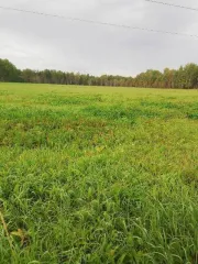 Земельный участок площадью 131000 кв.м. Адрес: 627033, Тюменская область, Ялуторовский район, село Киёво. Кадастровый номер: 72:21:0000000:28. Вид собственности: индивидуальная.