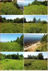 Земельный участок 1.9 га в Вологодской области, кадастровый номер: 35:01:0301004:213. Назначение: для сельскохозяйственного использования, общая площадь 19000+/-381 кв.м. Местоположение установлено относительно ориентира — здание новой часовни. Участок находится примерно в 1350 м по направлению на…