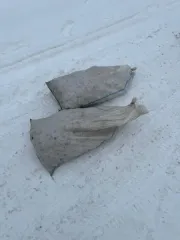 Родиола розовая 49,8 кг. Подлежит реализации как годные остатки.