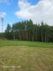 Земельный участок 1506 кв.м, Московская область, Российская Федерация, Московская область, м.о. Шаховская, д. Назарьево, примерная площадь 1506 кв.м., кадастровый квартал 50:06:0070201, категория – земли населенных пунктов, расположен по адресу: Московская область, муниципальный округ Шаховская, д…