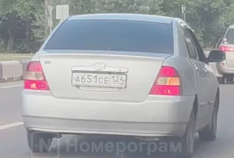 Попова. Лот № 1: Транспортное средство Тойота Королла, 2000 г.в., кузов №NZE1210007153, гос. рег. знак А651СЕ124