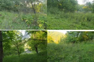 Земельный участок для ведения личного подсобного хозяйства, площадью 3001+/-38 кв.м., кадастровый номер 20:09:3400065:562.