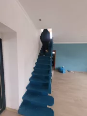 Недвижимое имущество (двухэтажный жилой дом 277,9 кв. м), Кадастровый номер: 72:17:2403001:218. Расположенный по адресу: Российская Федерация, Тюменская область, Тюменский район, д. Есаулова, улица Северная, дом 9. 
Земельный участок, категория земель: земли населенный пунктов. Разрешенное…