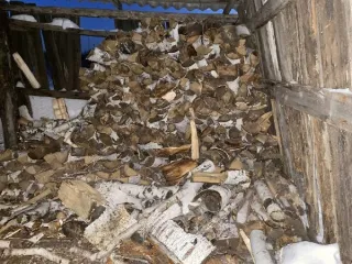 Береза колотая 43.028 м³ в виде поленьев. Количество и породный состав древесины: береза колотая 43.028 куб.м.