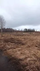 Земельный участок, 735 кв.м, Московская область, кадастровый номер: 50:23:0050446:1473, расположенный по адресу: Российская Федерация, Московская область, Раменский, сельское поселение Рыболовское, земельный участок расположен в центральной части кадастрового квартала 50:23:0050446.