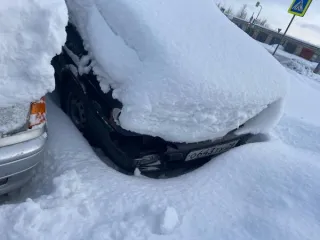 Автомобиль Hyundai NF 2,4 GLS, г.р.з. О050РС29, VIN KMHEU41CP6A238650, 1 шт. + Автомобиль Toyota Caldina, г.р.з. К518ЕА29, информация о VIN отсутствует, 1 шт. + Автомобиль ВАЗ 211440 LADA Samara, г.р.з. О796КР29, VIN XTA211440В4955285, 1 шт. + Автомобиль ВАЗ-21150 LADA Samara, г.р.з. О643ТУ29, VIN…