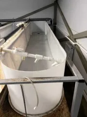 Строительство фермы по выращиванию форели по адресу д. Мещеряково Промпарк «Буинск» Буинского муниципального района, кадастровый номер 16:14:140102:762, общая площадь 1 432,0 кв.м. (в залоге АО «Татагролизинг»); Административное здание, кадастровый номер 16:14:140102:763, общая площадь 57,4 кв.м…