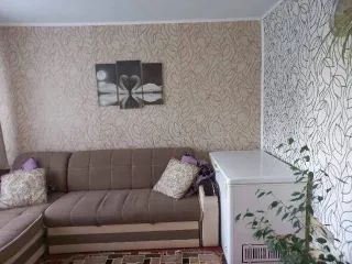 1/4 доля, квартира, площадь 64,6 кв. м., назначение: Жилое, адрес: Россия, Забайкальский край, Борзинский район, село Соловьевск, улица Магистральная, дом 4, квартира 1, кадастровый номер: 75:04:230104:124. Находится в совместной собственности.