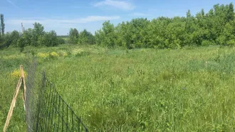 Земельный участок 625 кв. м. Кадастровый номер: 02:27:070201:128. Для ведения личного подсобного хозяйства. Адрес: Республика Башкортостан, р-н. Илишевский, с/с. Исаметовский, д. Турачи, ул. Авеште, д. 8.