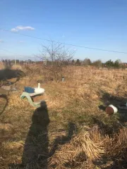 Земельный участок площадью 18824 кв.м в Ленинградской области, Гатчинский район, вблизи деревни Заборье, поле 7. Кадастровый номер: 47:23:0521002:198. Вид разрешенного использования: для сельскохозяйственного производства. Местоположение установлено относительно ориентира, расположенного в границах…