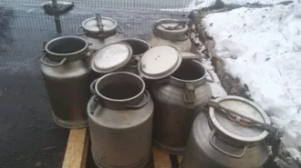 Высвобождаемое движимое военное имущество (имущество продовольственной службы). Имущество продовольственной службы 
