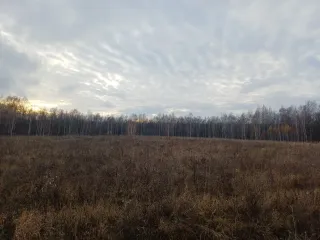 Земельный участок площадью 820 кв.м. Адрес: Россия, Республика Татарстан, Надеждинское сельское поселение, Пестречинский муниципальный район, СНТ "Петрово", участок 4-2. Кадастровый номер: 16:33:211113:214. Ознакомиться с имуществом можно с момента публикации до окончания приема заявок по будням с…