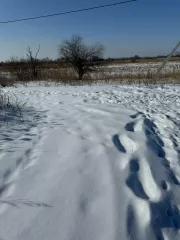 Земельный участок, площадь 1004+/11 кв.м., кадастровый (условный) номер: 27:17:0300701:882
Адрес (местонахождение): Россия, край Хабаровский, р-н Хабаровский, с Галкино, кв-л Дружный, дом 25
