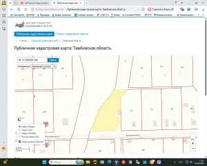 Земельный участок 3990 кв.м, Первомайский округ, Тамбовская область, с КН 68:12:1803002:380, по адресу: Российская Федерация, Тамбовская область, муниципальный округ Первомайский, село Малый Снежеток, ул. Молодежная, земельный участок 8а. Основной вид разрешенного использования: 2.0. Кадастровый…