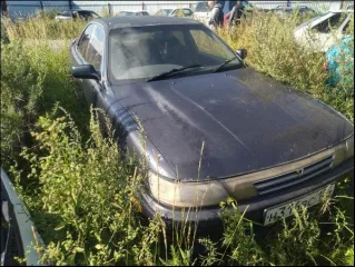 Kia Rio 2018, Toyota Vista 1992, VAZ 21099 2003. Kia Rio, госномер А779НО122, 2018 г.в., VIN: Z94C251ABJR018726 (документы отсутствуют, ключи в наличии). Toyota Vista, госномер Н316ВС154, 1992 г.в., № кузова SV350024421 (документы в наличии, ключи отсутствуют). ВАЗ 21099, госномер О031ЕА, 154…