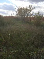 Земельный участок 990 кв. м с кадастровым номером 02:65:011616:338 расположен по адресу: Республика Башкортостан, Туймазинский район, город Туймазы, садовый участок 85