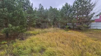 Земельный участок 2033 кв.м и дом 286.7 кв.м, Воронежская область, Рамонский район, село Новоживотинное, улица Газовиков, 19. Кадастровый номер участка: 36:25:3600008:80, кадастровый номер дома: 36:25:3600008:291.