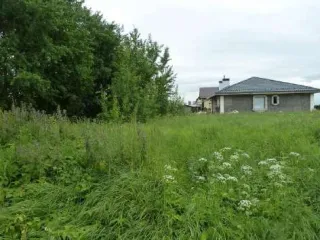 Земельный участок, кадастровый номер 53:11:0300105:3796, адрес: Новгородская обл., Новгородский муниципальный р-н, Савинское с/п, пос. Волховец