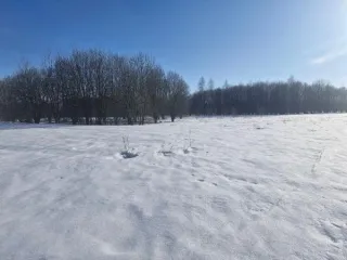 Земельный участок 2000 кв.м, Московская область. Кадастровый номер 50:33:0030436:648. Основной вид разрешенного использования 2.2.