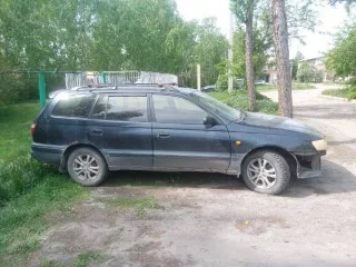 Toyota Caldina, 1995. Рег. знак В141ЕЕ124. Номер кузова ST1950078524.