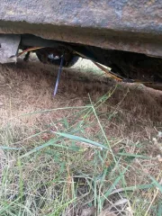 ВАЗ 21099 2002 года выпуска, VIN XTA21099023380343, государственный регистрационный знак М297НХ36. Цвет кузова серебристый.