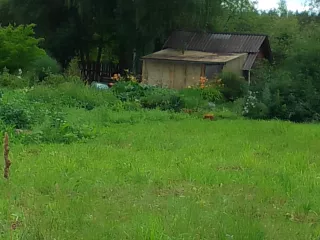 1/4 1/4 доля в праве на Жилое помещение, площадь: 57,5 кв.м., кадастровый номер: 66:18:0904002:498
Адрес (местонахождение): Свердловская область, р-н. Новолялинский, г. Новая Ляля, ул. Мира, д. 73, кв. 2