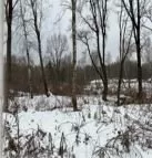 Земельный участок 4441 кв.м Калужская область, с кадастровым №40:13:060104:393, категория земель: Земли сельскохозяйственного назначения, вид разрешенного использования: для индивидуального садоводства и огородничества, местоположение установлено относительно ориентира, расположенного в границах…