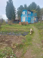 Земельный участок, площадь 600 кв.м., назначение: Земли сельскохозяйственного назначения, кадастровый (условный) номер: 24:21:4702001:1725.
Адрес (местонахождение): Россия, Красноярский край, р-н Козульский, пл. Бадаложская, с.о. "Бодрость", уч. 397
