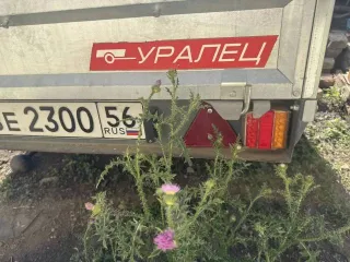 Прицеп Крепыш 821303 2024 года прицеп, марка: Крепыш 821303, модель: 821303, год изготовления: 2024, идентификационный номер: X8L821303P0282506