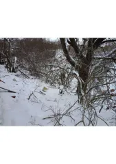 3/4 доли земельного участка, 986 кв.м., Саратовская обл., п. Нагорный. Участок площадью 986 кв.м., адрес (местонахождение): Саратовская обл., Лысогорский р-н, п. Нагорный, 25 м южнее д. 13 по ул. Сосновая, категория земель: Земли населенных пунктов, разрешенное использование: для ведения личного…