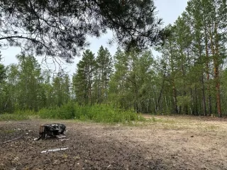 Земельный участок. Кадастровый номер: 14:15:130004:2133. Площадь: 1216. Вид разрешённого использования: 2.2.