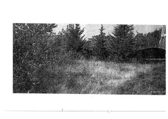 Земельный участок 86 кв.м, расположенный по адресу: Республика Крым, г. Ялта, п. Олива, ул. Перевальная, уч. №2, ниже воинской части, площадью 86 +/- 3 кв.м., земли населенных пунктов. Зона с особыми условиями. Вид разрешённого использования земельного участка: 2.1. Кадастровый номер…