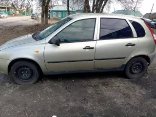 1/4 доли в праве на легковой автомобиль, марка: LADA, модель: Kalina, год изготовления: 2008, цвет: бело-желтый перламутровый, VIN: ХТА11193090097097, ПТС: 63МТ706330, модель двигателя: 11183, двигатель №: 5095317, кузов №: ХТА11193090097097. Находится в долевой собственности, размер доли: 1/4