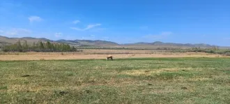 Земельный участок 213000 кв.м, Забайкальский край, Дульдургинский район, категория земель: земли сельскохозяйственного назначения, виды разрешённого использования: для производства сельскохозяйственной продукции, расположенный по адресу: Местоположение установлено относительно ориентира…