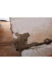 1/4 доли квартиры 35,1 кв.м в Курганской области; еще 1/4 доля квартиры в Курганской обл.; еще 1/4 доля в праве на жилое помещение, площадь: 35,1кв.м., адрес (местонахождение): Курганская область, муниципальный округ Куртамышский, город Куртамыш, улица Лесопильная, дом 4, квартира 2, кадастровый…