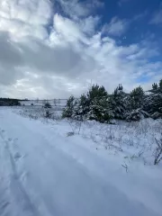 Земельный участок, площадью 1512 +/- 14 кв.м, с кадастровым номером: 66:16:2601014:182 
Расположенный по адресу: Свердловская область, Нижнесергинский район, г. Михайловск, ул. Песочная, д. 19