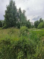 1/4 доля земельного участка в Московской обл. еще ¼ земельного участка, расположенного по адресу: 143103, Московская область, р н. Одинцовский, д. Болтино, 16, площадью 1000 кв.м. Кадастровый номер: 50:20:0100912:932.