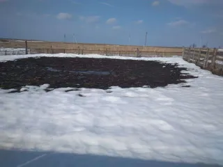 Земельный участок КН 74:13:0318001:47, Челябинская обл., Кунашакский р., п. Прибрежный, ул. Береговая, д.10, кв.2, площадь 1500,00 кв.м., вид права, доля в праве – общая долевая собственность 1/4. Помещение КН 74:13:0318001:110, Челябинская обл., Кунашакский р., п. Прибрежный, ул. Береговая, д.10…