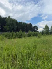 Дом 71 кв.м и участок 799 кв.м, Московская область. Здание, кадастровый номер: 50:32:0010207:576, назначение: жилое, виды разрешенного использования: данные отсутствуют, местоположение: Московская область, р-н Серпуховский, д Дракино, площадь: 71. Вид права, доля в праве: собственность, дата…