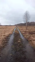 Земельный участок, 735 кв.м, Московская область, кадастровый номер: 50:23:0050446:1473, расположенный по адресу: Российская Федерация, Московская область, Раменский, сельское поселение Рыболовское, земельный участок расположен в центральной части кадастрового квартала 50:23:0050446.